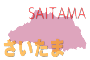 埼玉県 の 楽器可 ピアノ可 楽器相談 ピアノ相談 防音室付き 賃貸マンション 戸建て物件 を探す 埼玉県 の 楽器可 ピアノ可 楽器相談 ピアノ相談 防音室付き 賃貸マンション 戸建て物件 を探す